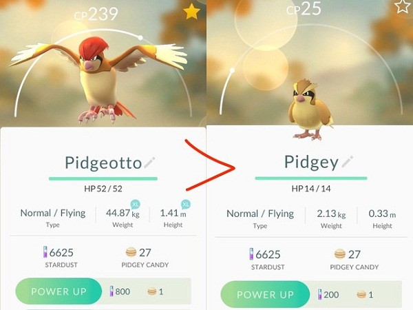 Sự tiến hóa của Pidgey