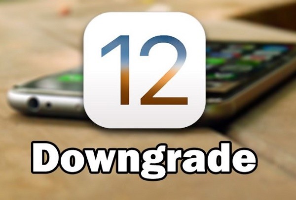 Hướng dẫn cách hạ cấp iOS 12 xuống iOS 11